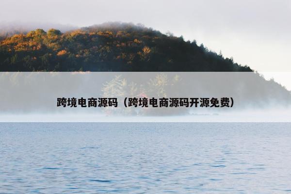 跨境电商源码（跨境电商源码开源免费）