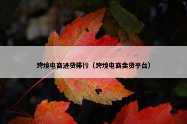 跨境电商进货排行（跨境电商卖货平台）