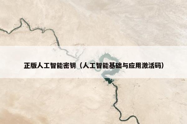 正版人工智能密钥（人工智能基础与应用激活码）