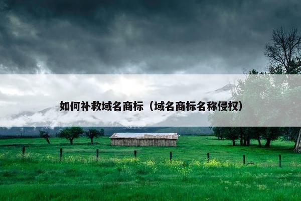 如何补救域名商标（域名商标名称侵权）