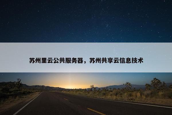 苏州里云公共服务器，苏州共享云信息技术