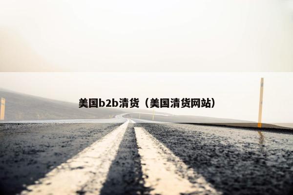 美国b2b清货（美国清货网站）