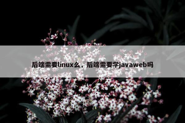 后端需要linux么，后端需要学javaweb吗