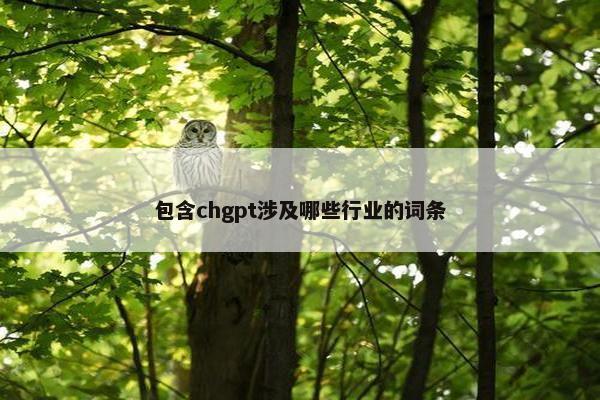 包含chgpt涉及哪些行业的词条