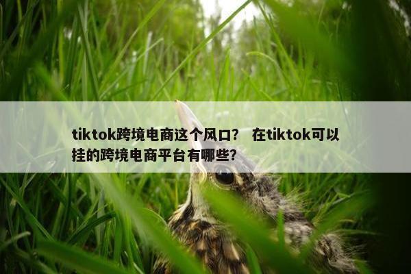 tiktok跨境电商这个风口？ 在tiktok可以挂的跨境电商平台有哪些？