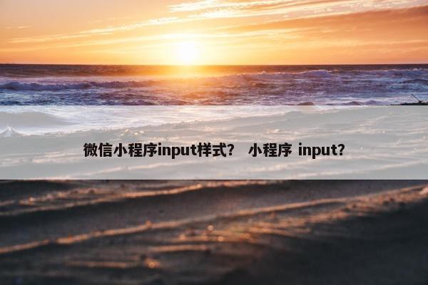 微信小程序input样式？ 小程序 input？