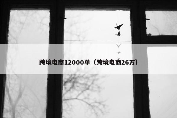 跨境电商12000单（跨境电商26万）