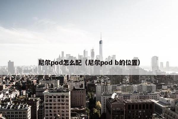 尼尔pod怎么配（尼尔pod b的位置）