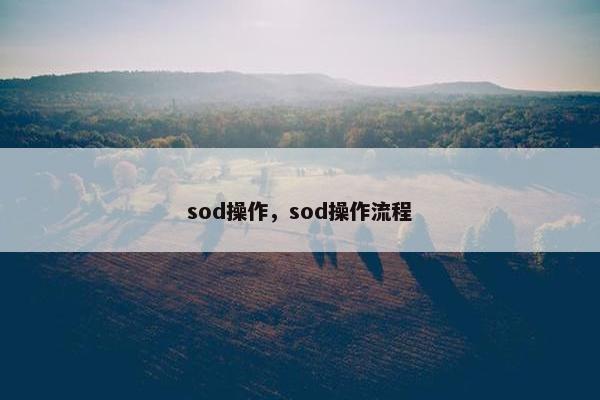 sod操作，sod操作流程