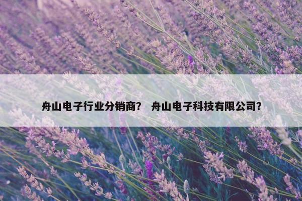 舟山电子行业分销商？ 舟山电子科技有限公司？