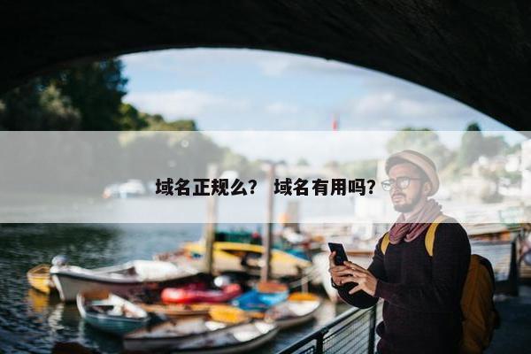 域名正规么？ 域名有用吗？