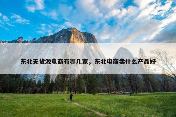 东北无货源电商有哪几家，东北电商卖什么产品好
