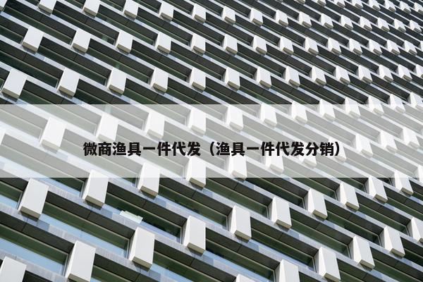 微商渔具一件代发（渔具一件代发分销）