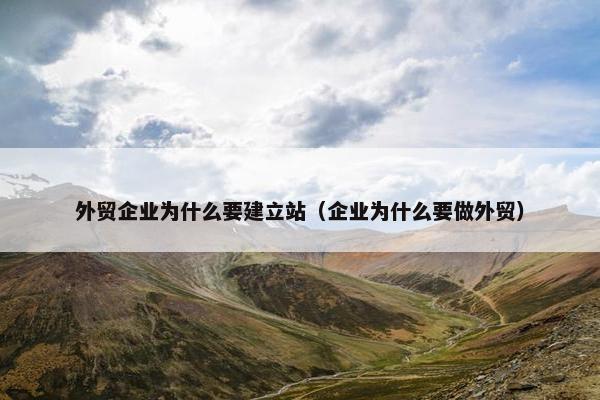 外贸企业为什么要建立站（企业为什么要做外贸）