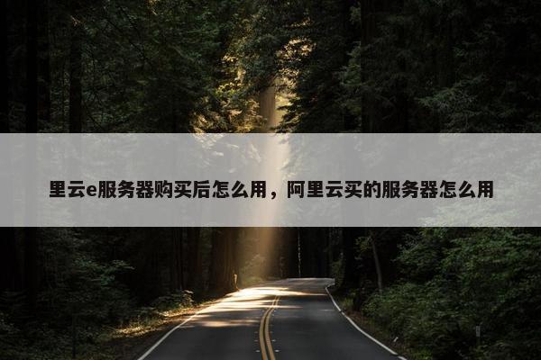 里云e服务器购买后怎么用，阿里云买的服务器怎么用