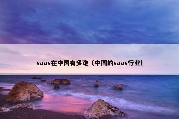 saas在中国有多难（中国的saas行业）