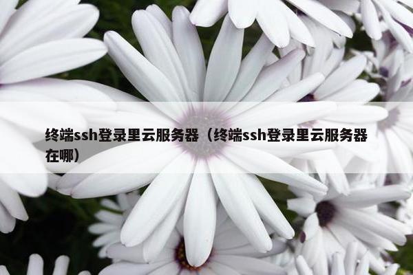 终端ssh登录里云服务器（终端ssh登录里云服务器在哪）
