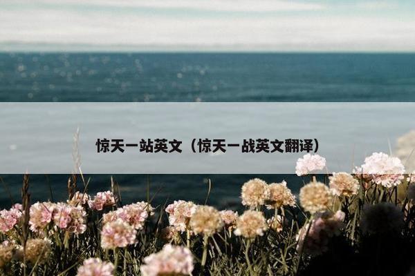 惊天一站英文（惊天一战英文翻译）