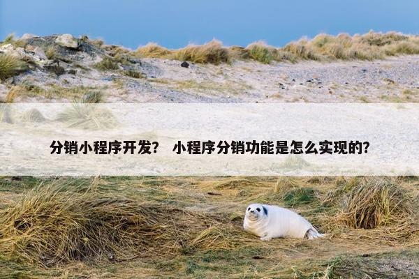 分销小程序开发？ 小程序分销功能是怎么实现的？