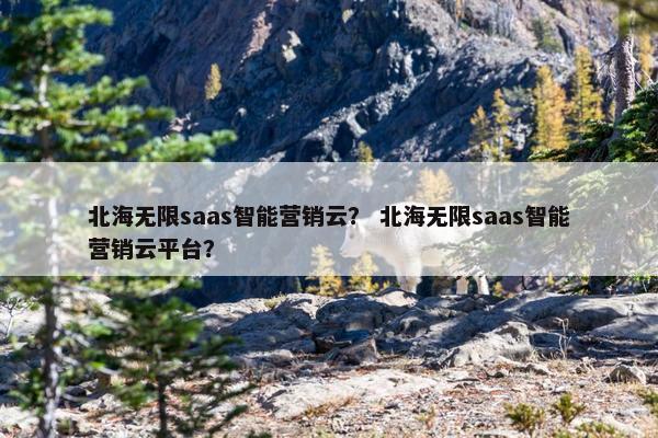 北海无限saas智能营销云？ 北海无限saas智能营销云平台？