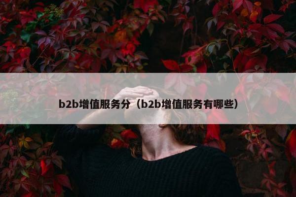 b2b增值服务分（b2b增值服务有哪些）