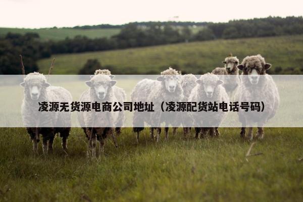 凌源无货源电商公司地址（凌源配货站电话号码）