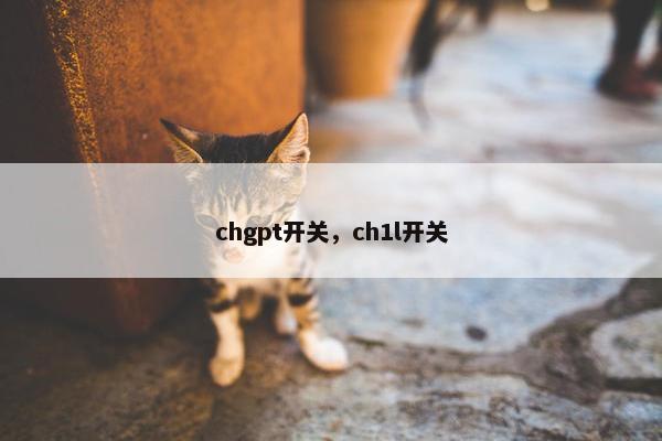 chgpt开关，ch1l开关