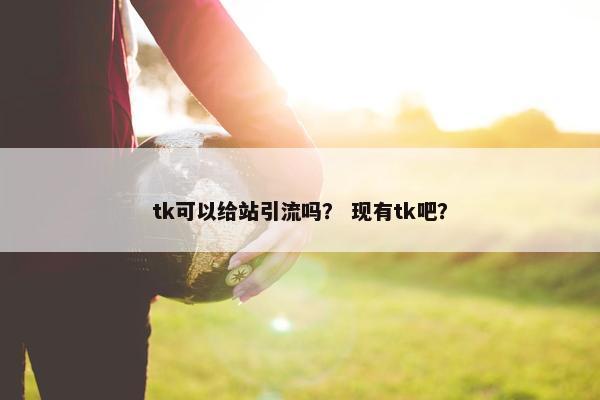tk可以给站引流吗？ 现有tk吧？