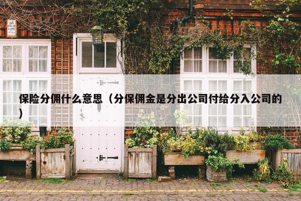 保险分佣什么意思（分保佣金是分出公司付给分入公司的）