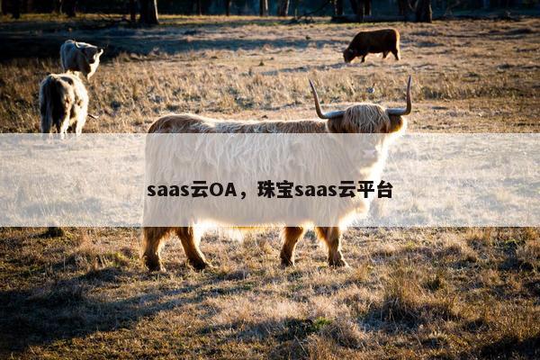 saas云OA，珠宝saas云平台