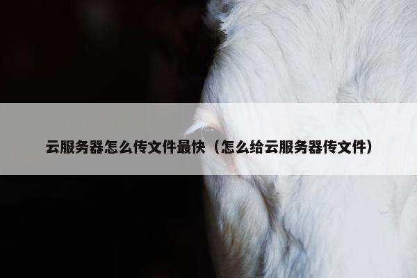 云服务器怎么传文件最快（怎么给云服务器传文件）