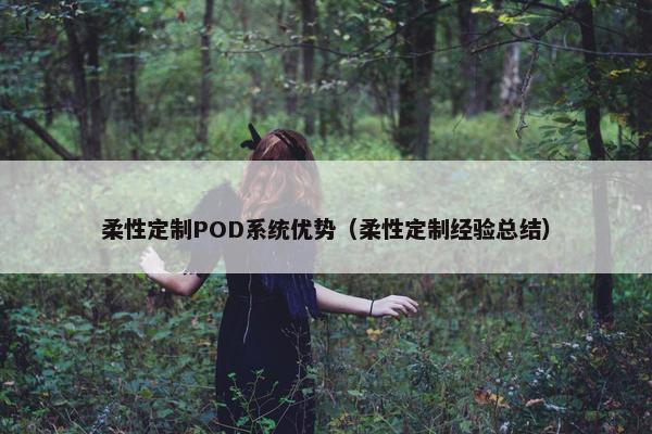 柔性定制POD系统优势（柔性定制经验总结）