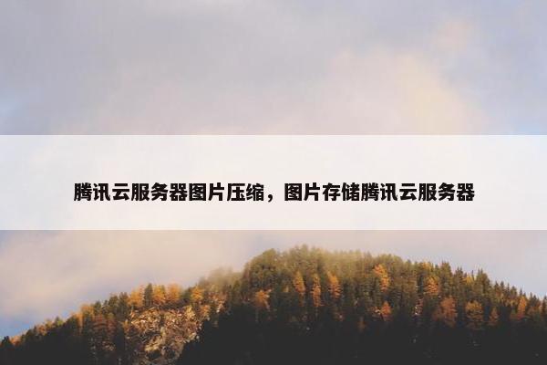 腾讯云服务器图片压缩，图片存储腾讯云服务器