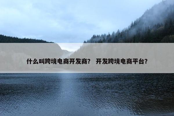 什么叫跨境电商开发商？ 开发跨境电商平台？