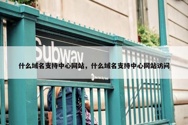 什么域名支持中心网站，什么域名支持中心网站访问