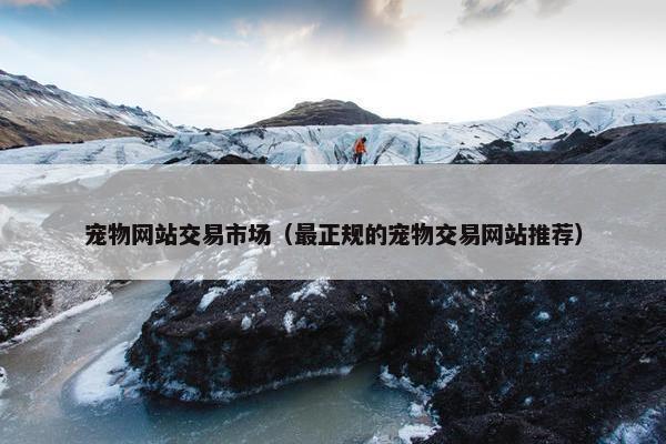 宠物网站交易市场（最正规的宠物交易网站推荐）