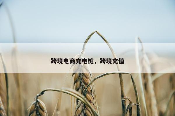跨境电商充电桩，跨境充值