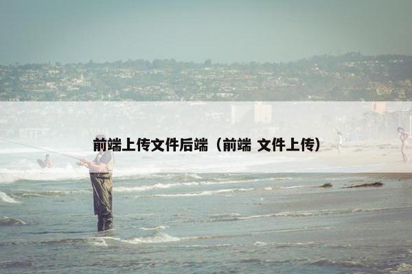 前端上传文件后端（前端 文件上传）