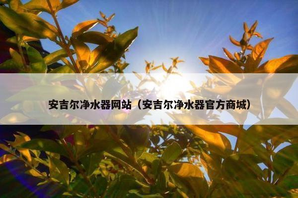 安吉尔净水器网站（安吉尔净水器官方商城）