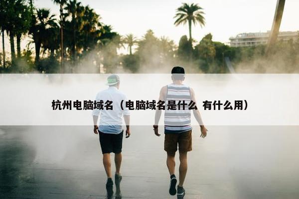 杭州电脑域名（电脑域名是什么 有什么用）