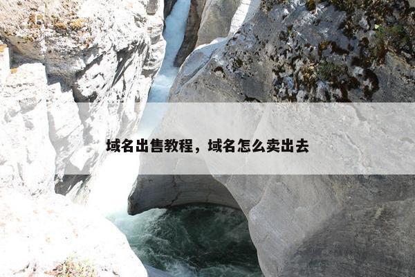 域名出售教程，域名怎么卖出去