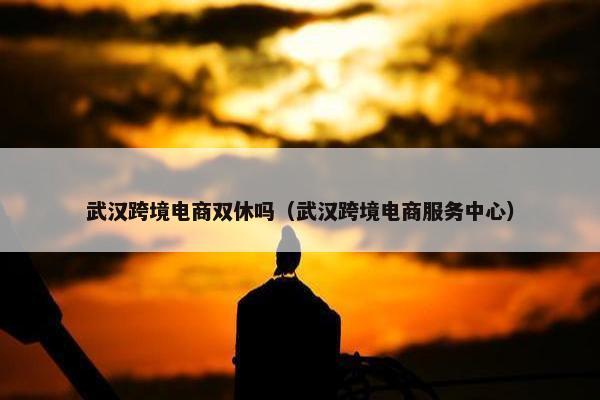 武汉跨境电商双休吗（武汉跨境电商服务中心）