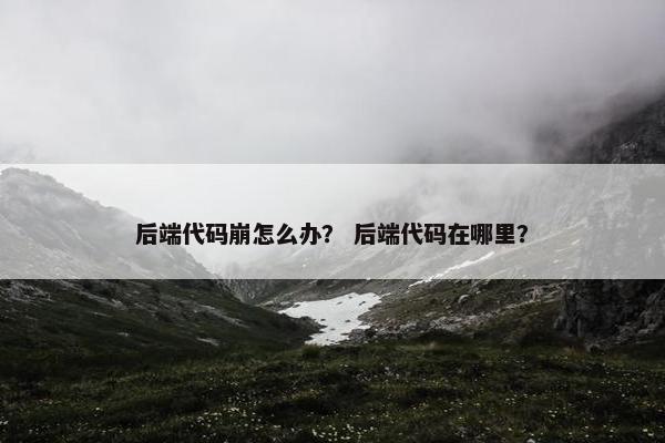 后端代码崩怎么办？ 后端代码在哪里？