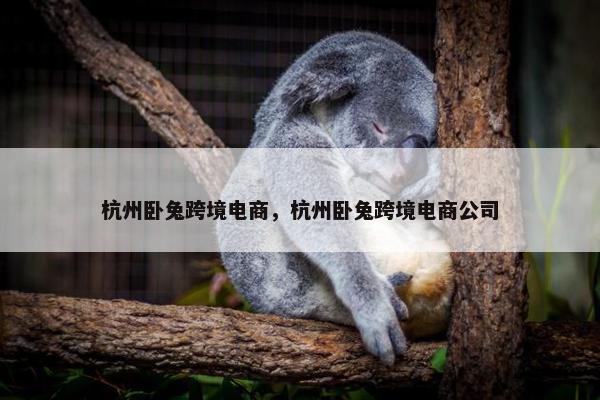 杭州卧兔跨境电商，杭州卧兔跨境电商公司