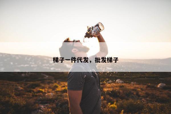 梯子一件代发，批发梯子