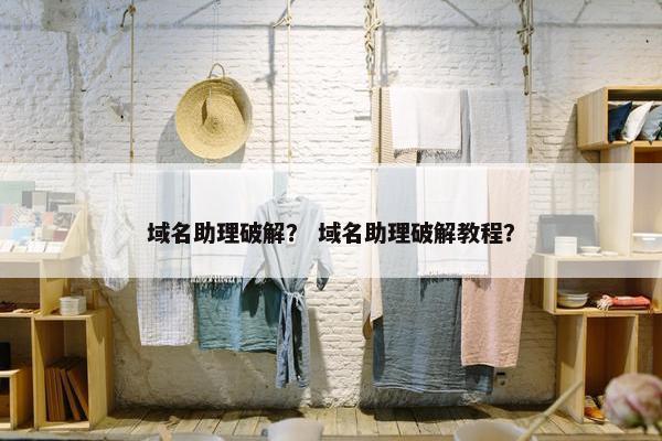 域名助理破解？ 域名助理破解教程？