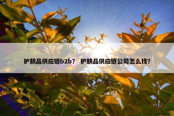 护肤品供应链b2b？ 护肤品供应链公司怎么找？