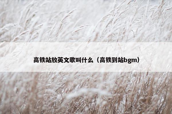 高铁站放英文歌叫什么（高铁到站bgm）