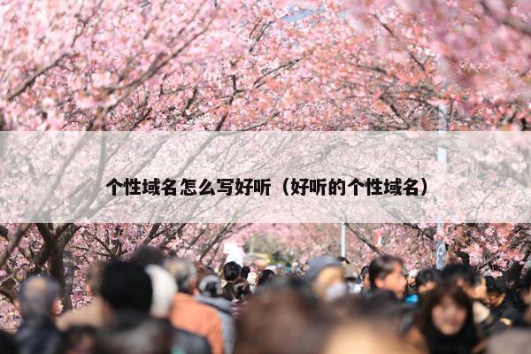 个性域名怎么写好听（好听的个性域名）
