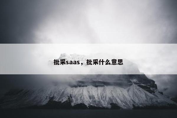批采saas，批采什么意思